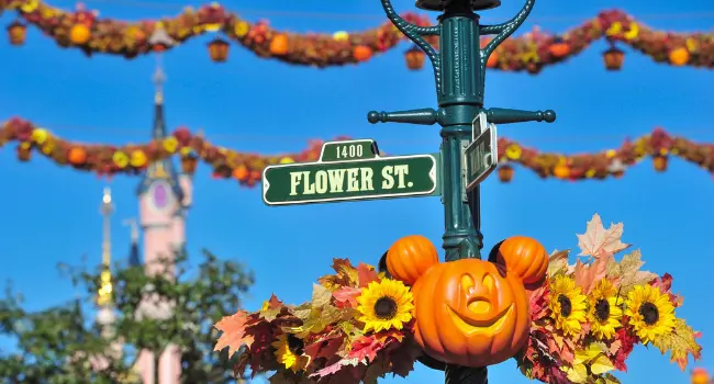 Le top 5 des parcs d’attractions où fêter halloween 2026