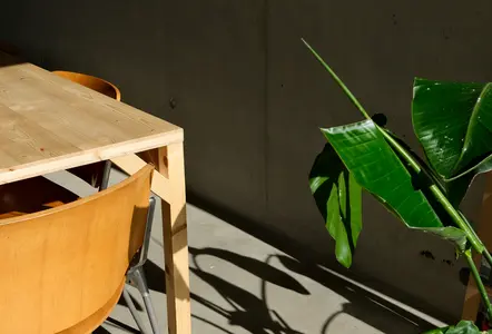 decoration
