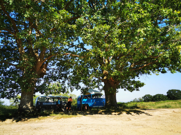 Volkswagen WESTFALIA 1970 image