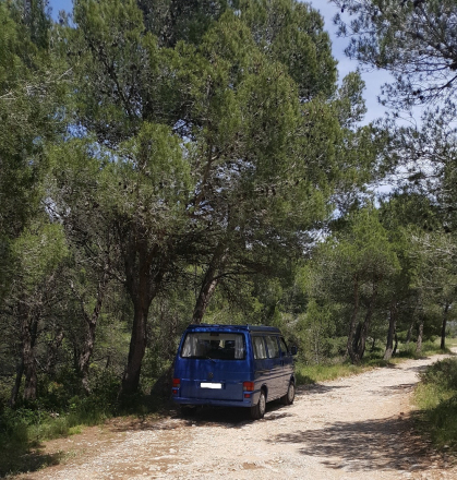 Volkswagen CALIFORNIA T4 image