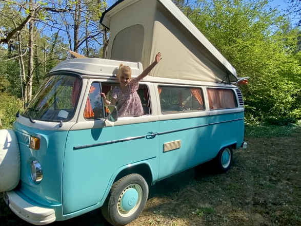 Volkswagen VOLKSWAGEN combi T2 image