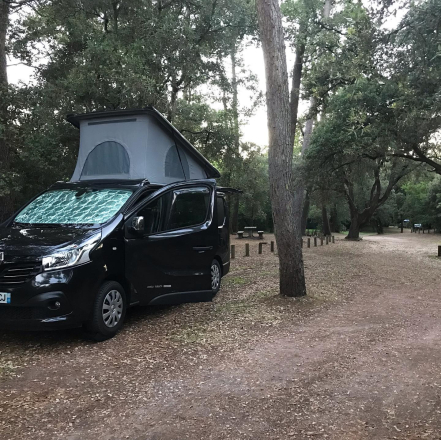 RENAULT HANROAD TREK image