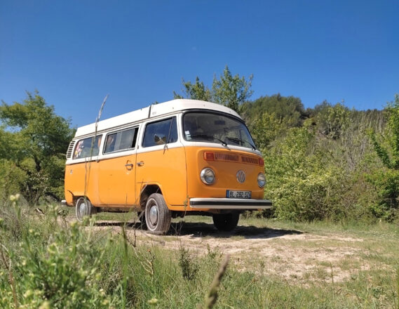 Volkswagen WESTFALIA 1979 Malaga image