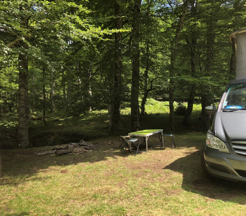 Mercedes WESTFALIA Marco polo image