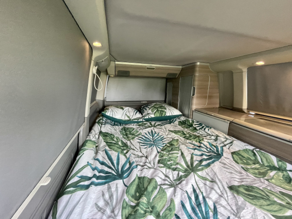 Volkswagen California T5 image