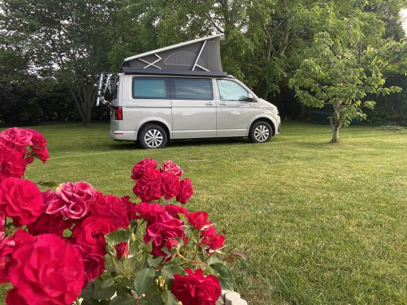  VOLKSWAGEN CALIFORNIA image