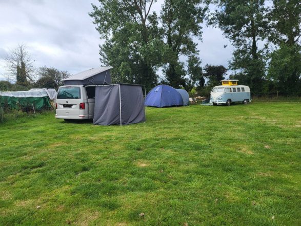  VOLKSWAGEN CALIFORNIA image