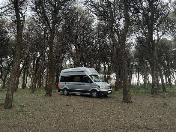  VOLKSWAGEN GRAND CALIFORNIA image