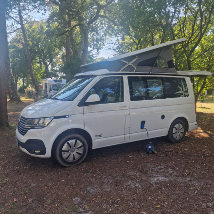  WESTFALIA CLUB JOKER CITY image