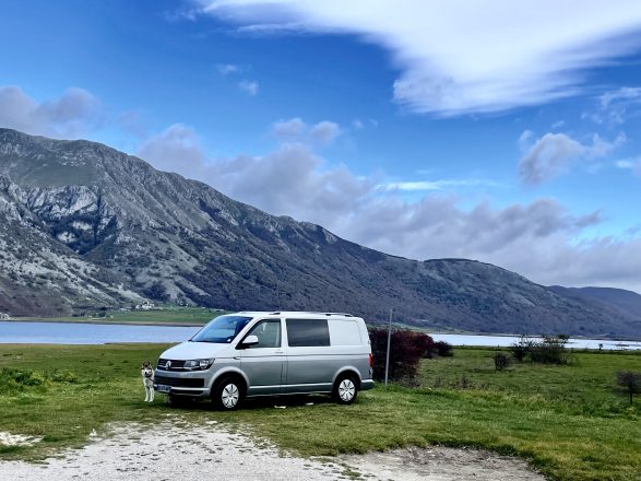 Volkswagen AUTRE Transporter T6 #Léo 🚐🐾 image