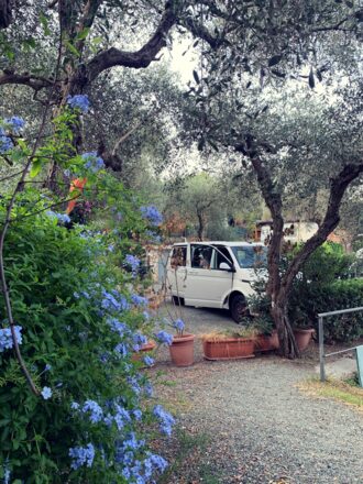 VOLKSWAGEN TRANSPORTER (T6 - 2015) 2.0 TDI 150 CH EU6 4MOTION 3.1T VOLKSWAGEN CALIFORNIA BEACH image