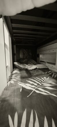 Fiat Challenger 151 Ducato image