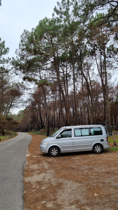photos.external